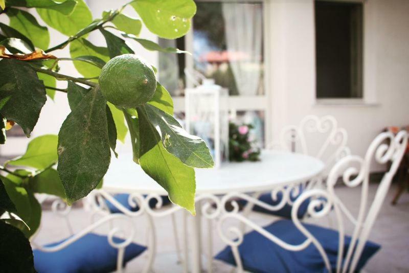 Villa Il Sole di Mondello Esterno foto